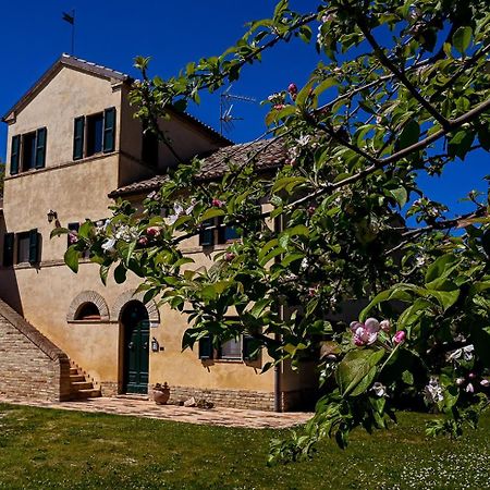 I Ciliegi Osimo Exterior foto