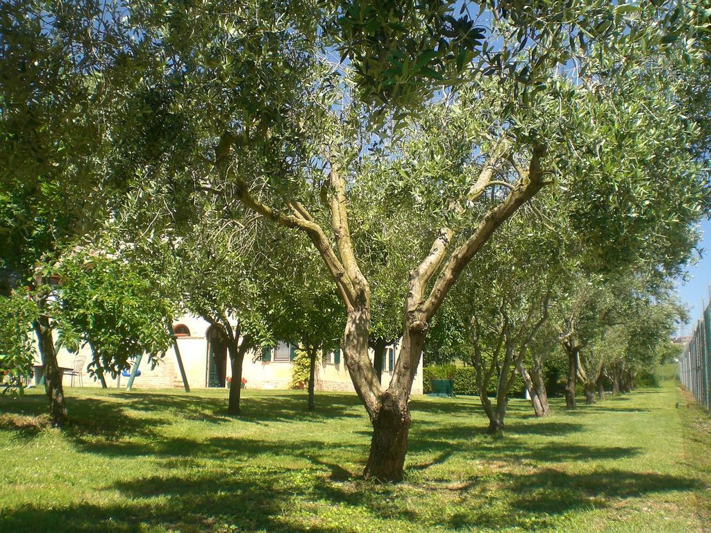 I Ciliegi Osimo Exterior foto